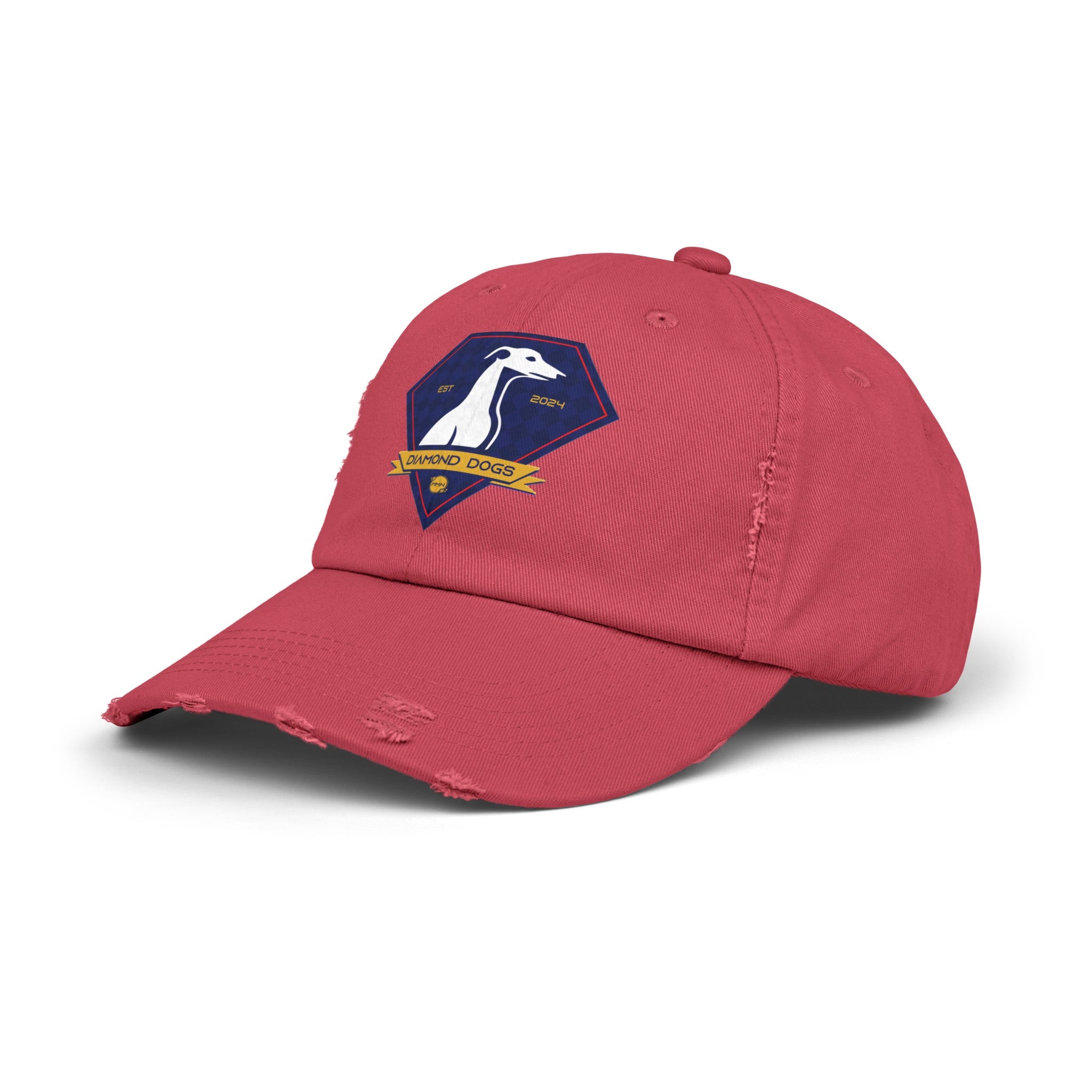 Diamond Dogs Distressed Cap